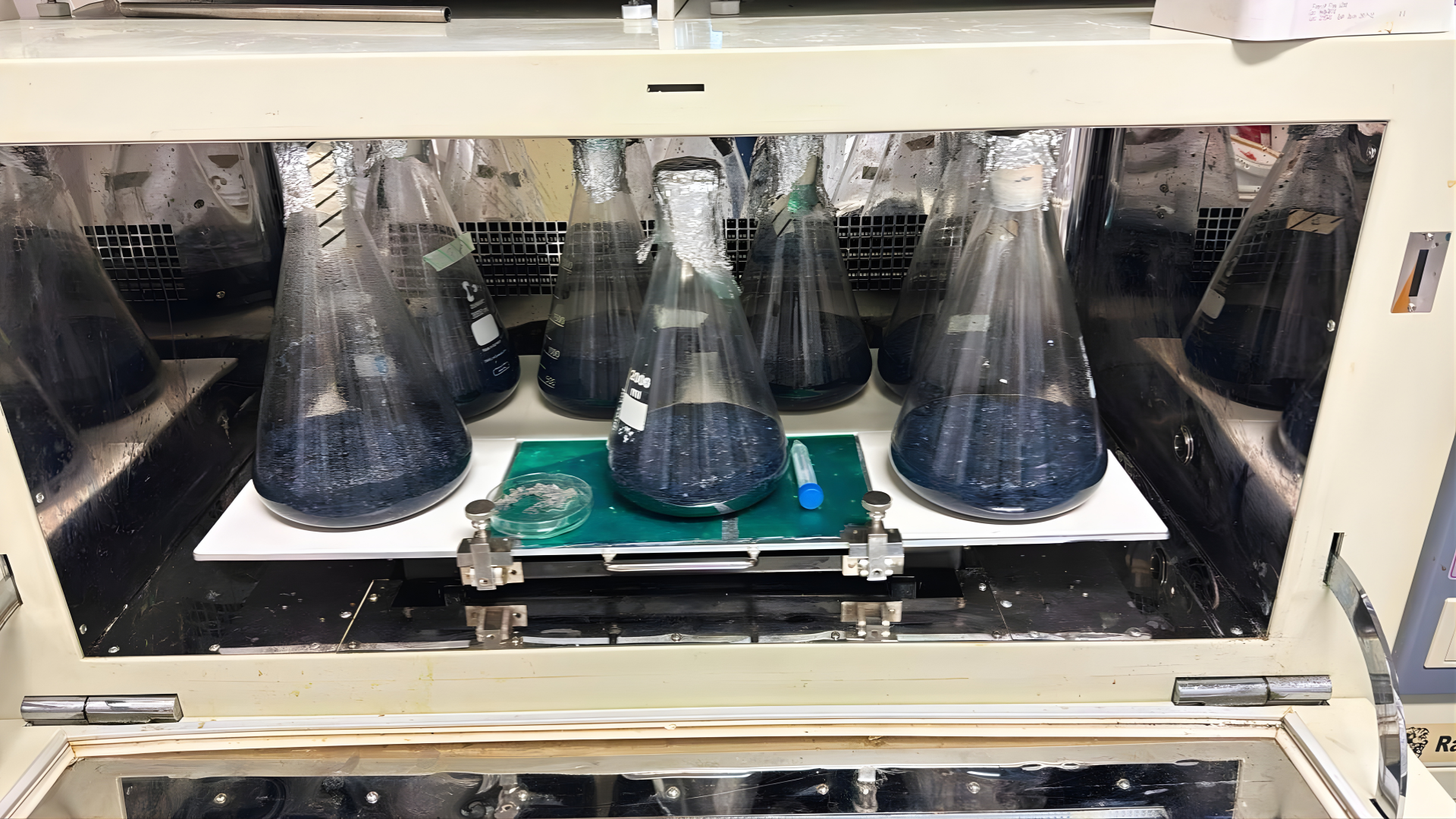 Through this integrated system, enzymatic hydrolysis breaks down plant-based fibers in textiles into recoverable glucose. Photo by Fabiola Polli from BioFashionTech.