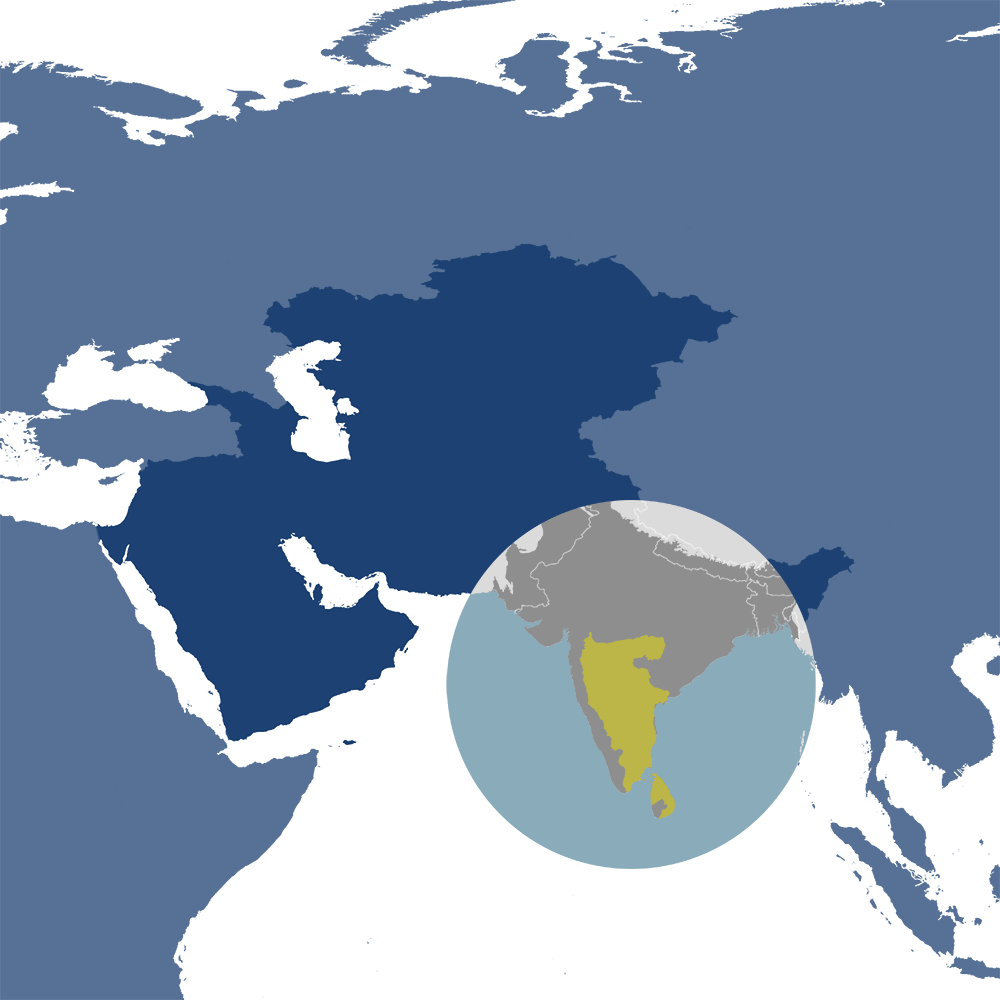 Bengal tigers are the iconic species of the Greater Deccan-Sri Lankan Forests & Drylands bioregion (IM8), located within the Indian Subcontinent subrealm in Indomalaya.