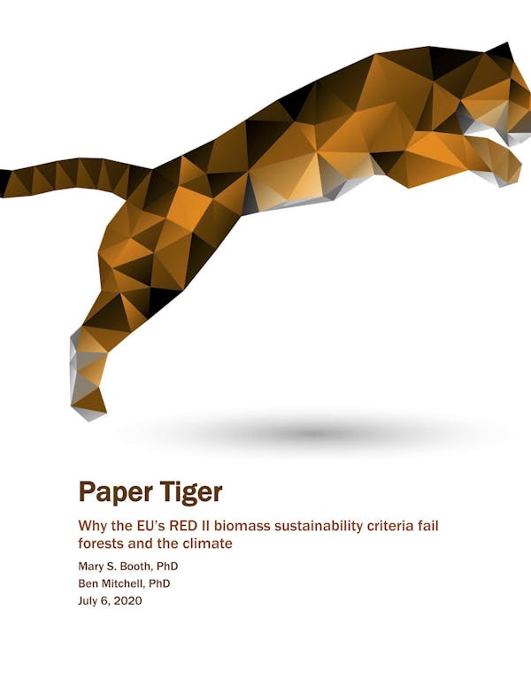 Paper Tiger: Why the EU’s RED II biomass sustainability criteria fail forests and the climate
