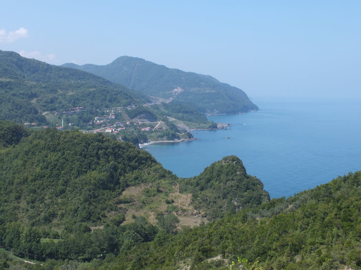 Black Sea Forests & Steppe