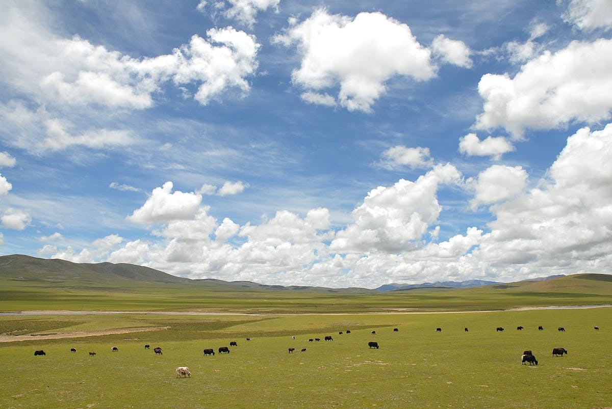 Himalayas & Tibetan Plateau