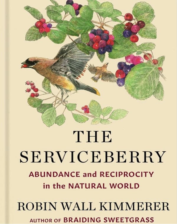The Serviceberry: Abundance and Reciprocity in the Natural World