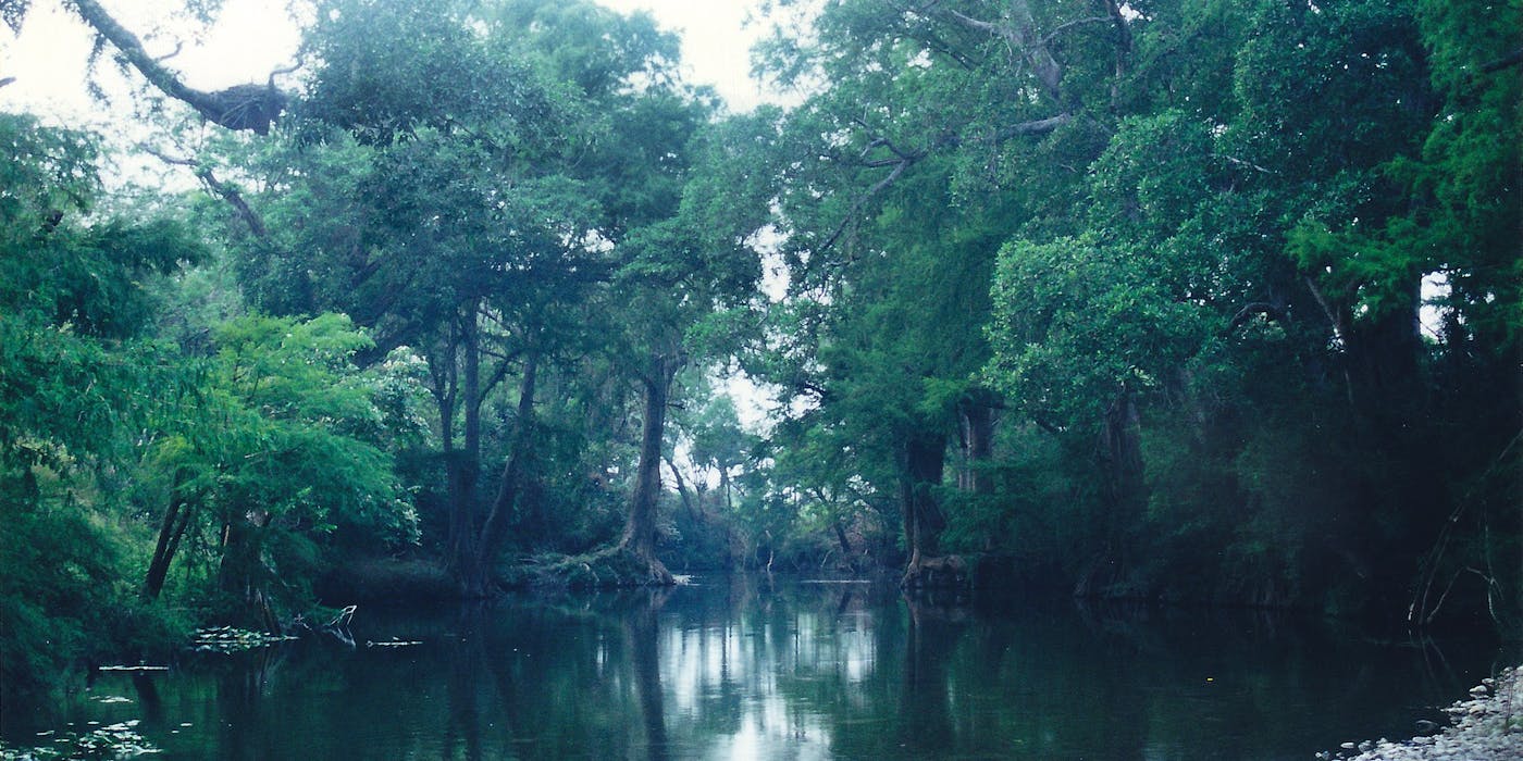 Yucatan & Veracruz Mixed Forests (NT27)