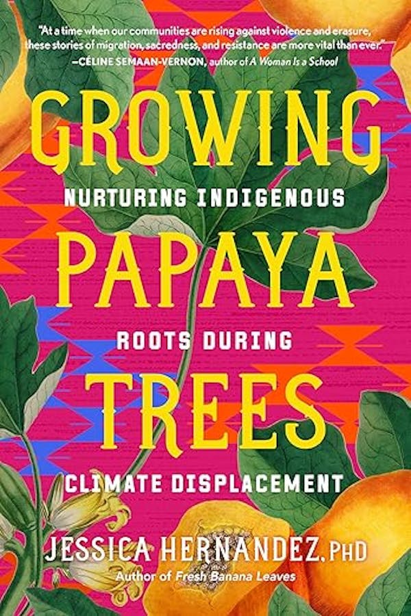 Growing Papaya Trees: Nurturing Indigenous Roots During Climate Displacement