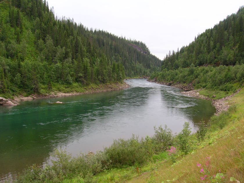 Ural Mountains & West Eurasian Taiga Forests (PA8) | One Earth