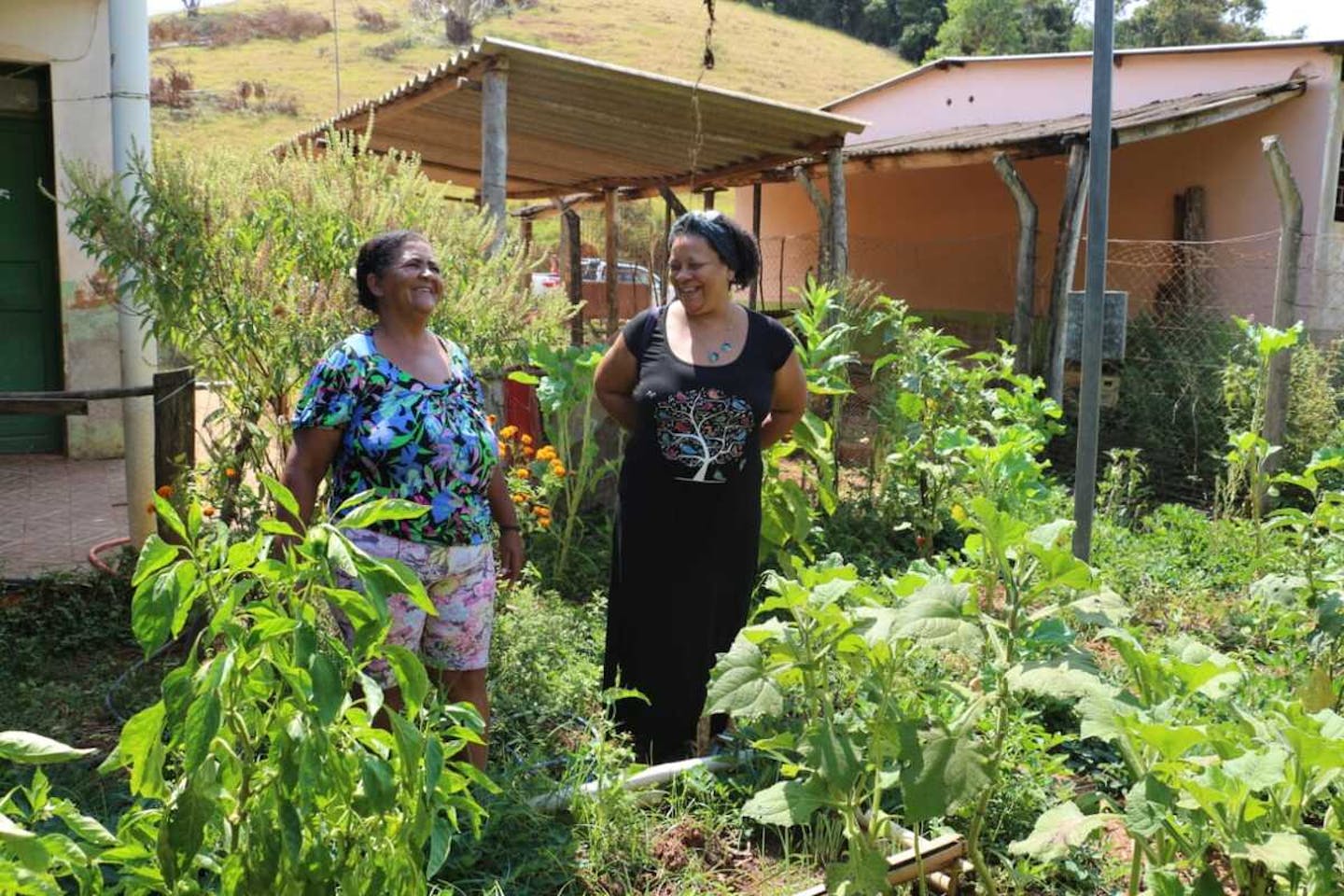 How a booklet transformed women’s agroecological production in Brazil