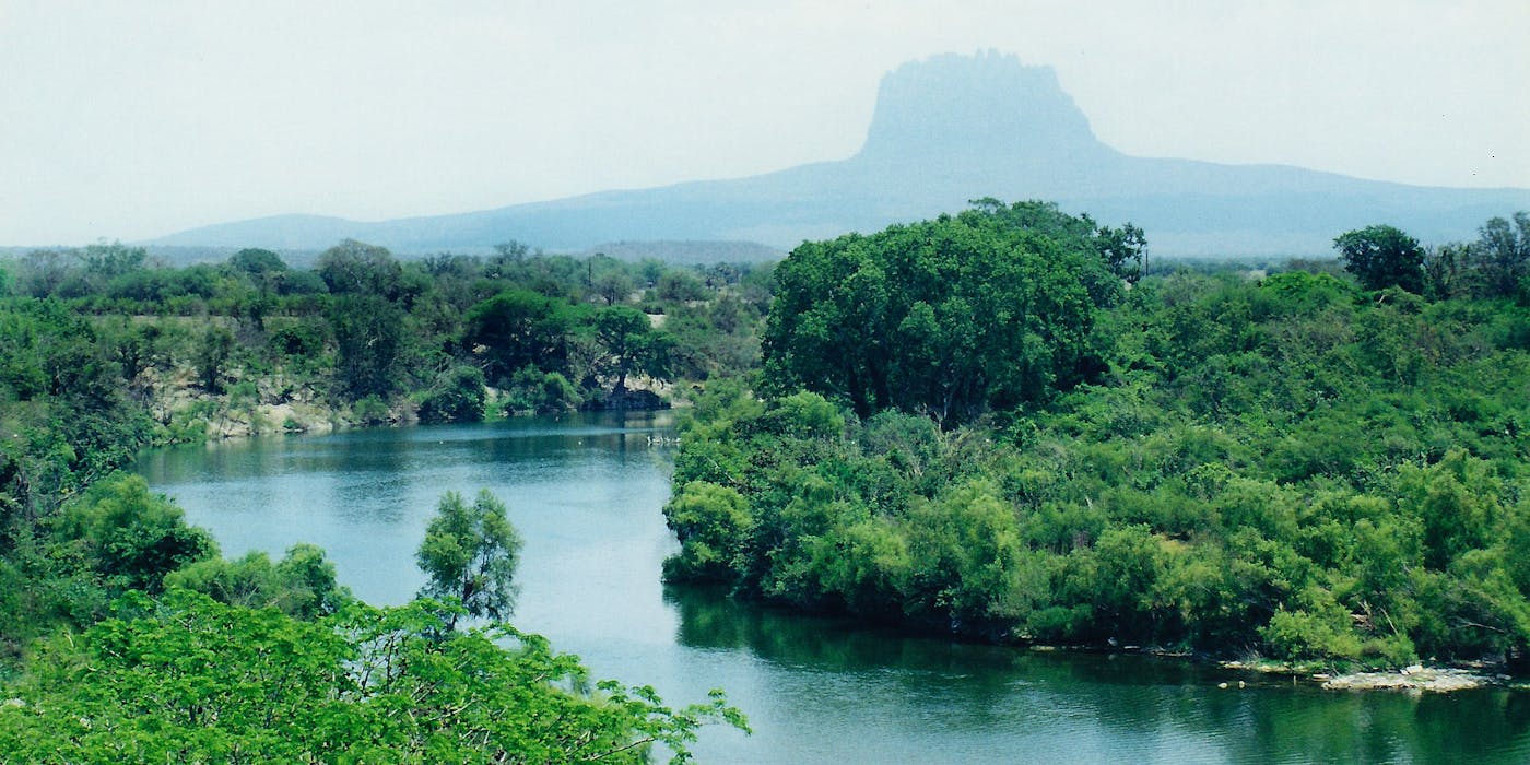 Yucatan & Veracruz Mixed Forests (NT27)