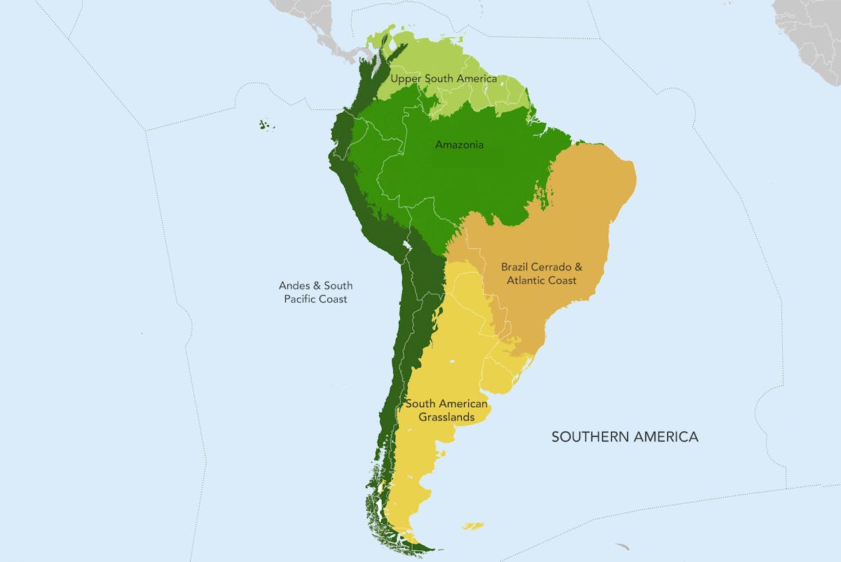 Southern America One Earth