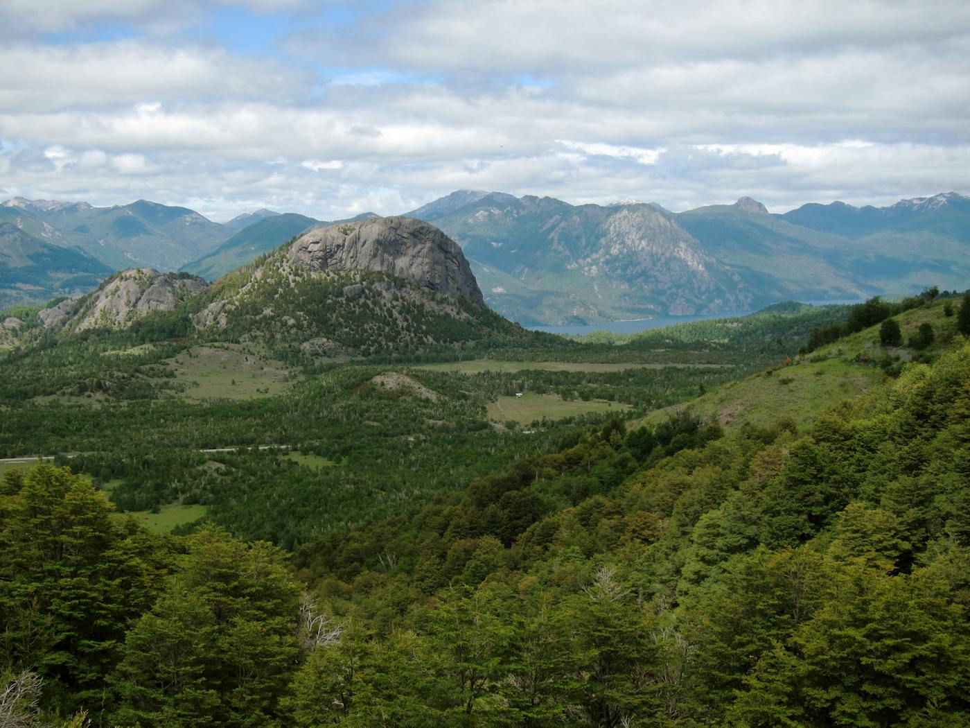 Chilean Mixed Forests (NT1)