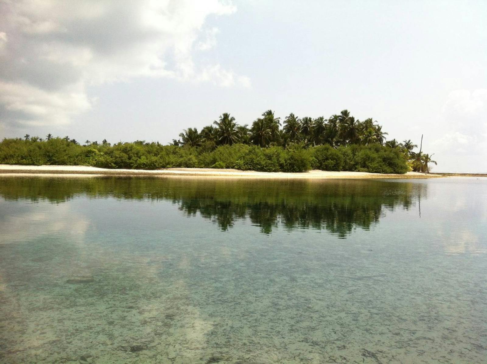Maldives-Lakshadweep-Chagos Archipelago Tropical Moist Forests