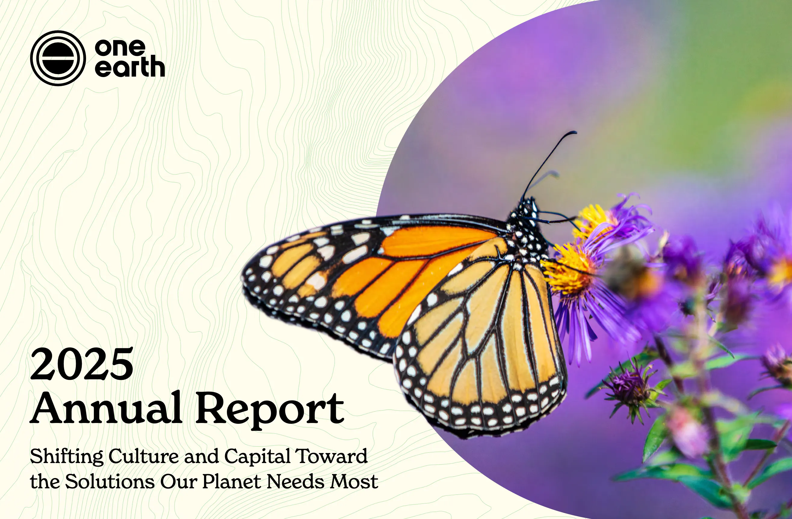 2025 annual report | One Earth