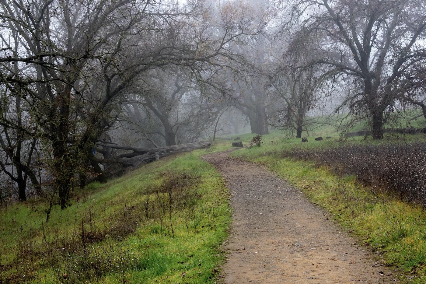Using Cutting-edge Technology to Build Community and Climate Resilience in California’s Vulnerable Oak Savanna with Land Tender