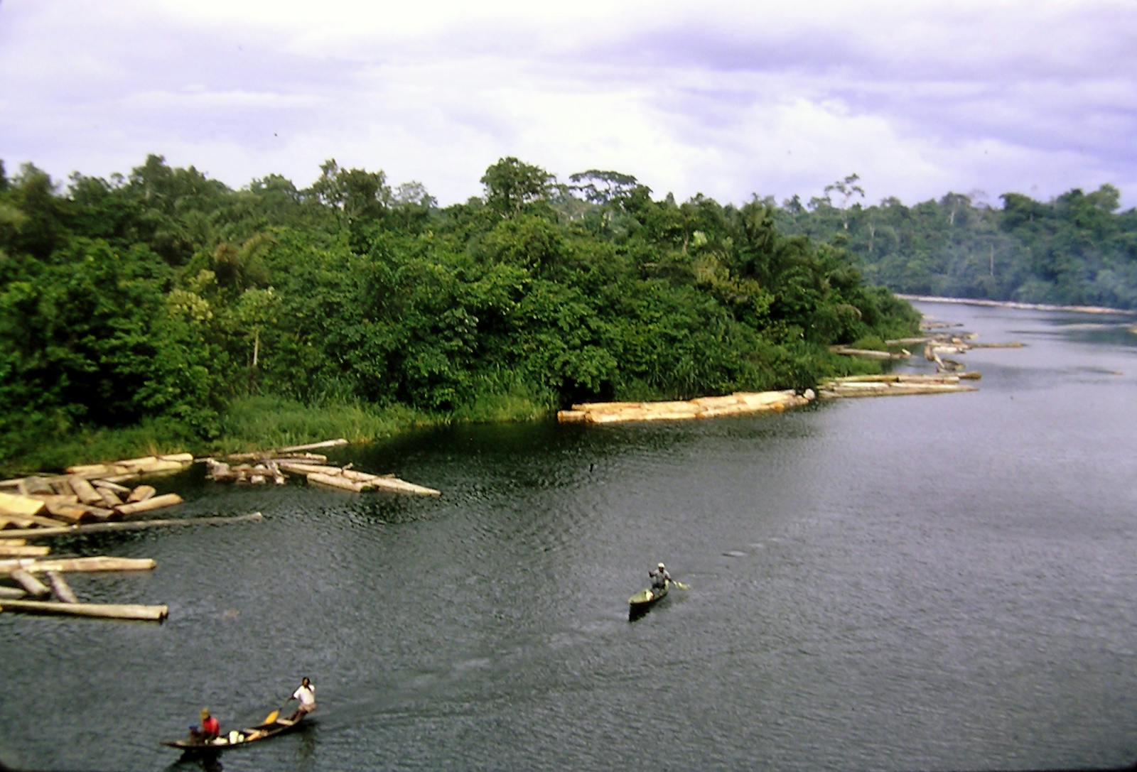 Niger Delta Swamp Forests