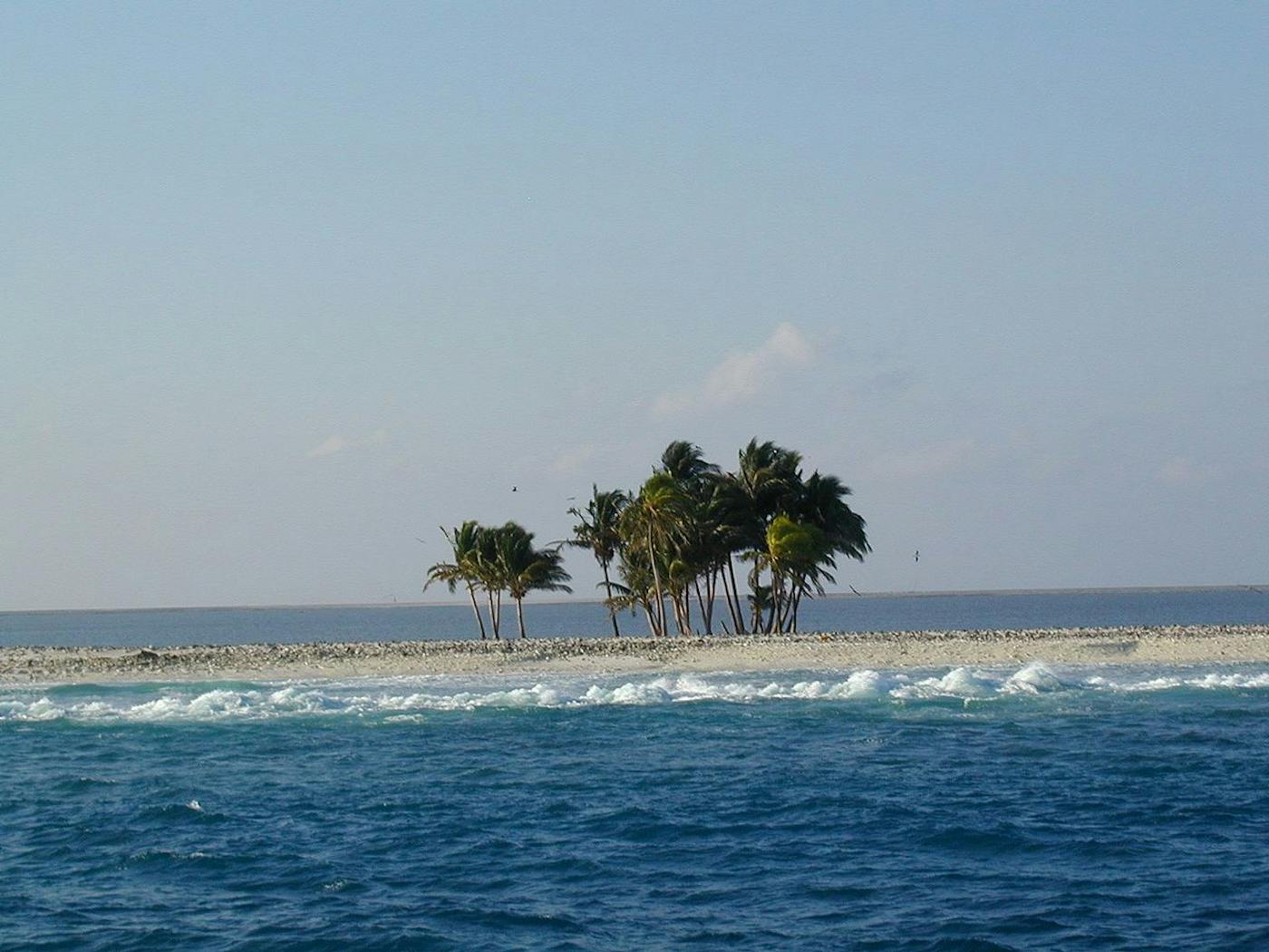 Mexican Subtropical Islands (NT29)