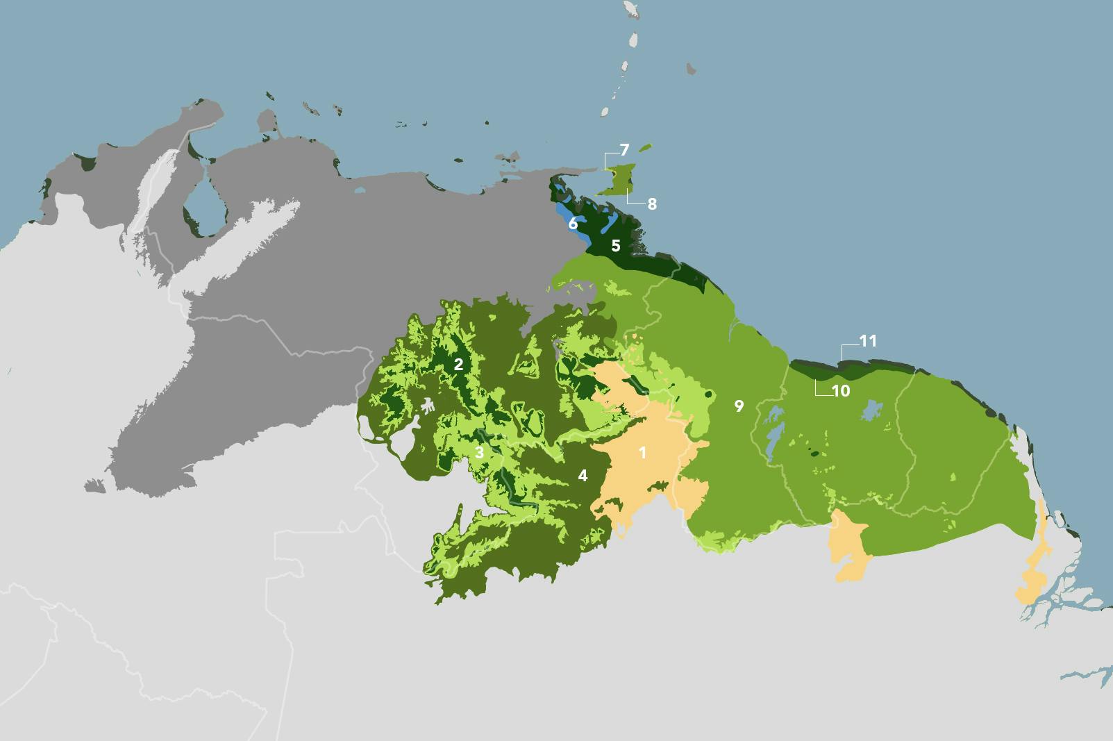 Guianan Forests Savanna Nt21 One Earth