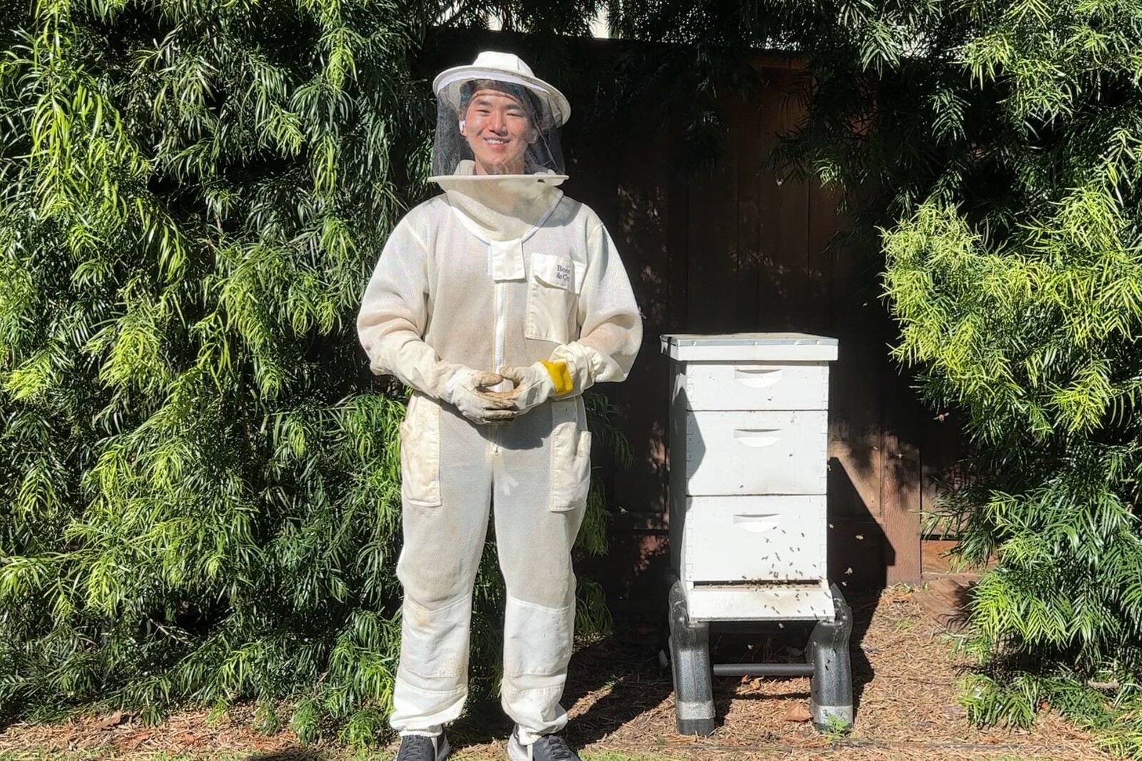 Vince Wu, from the solo team HiveHealthy, standing by his honeybee hives. Image Credit: The Earth Prize.