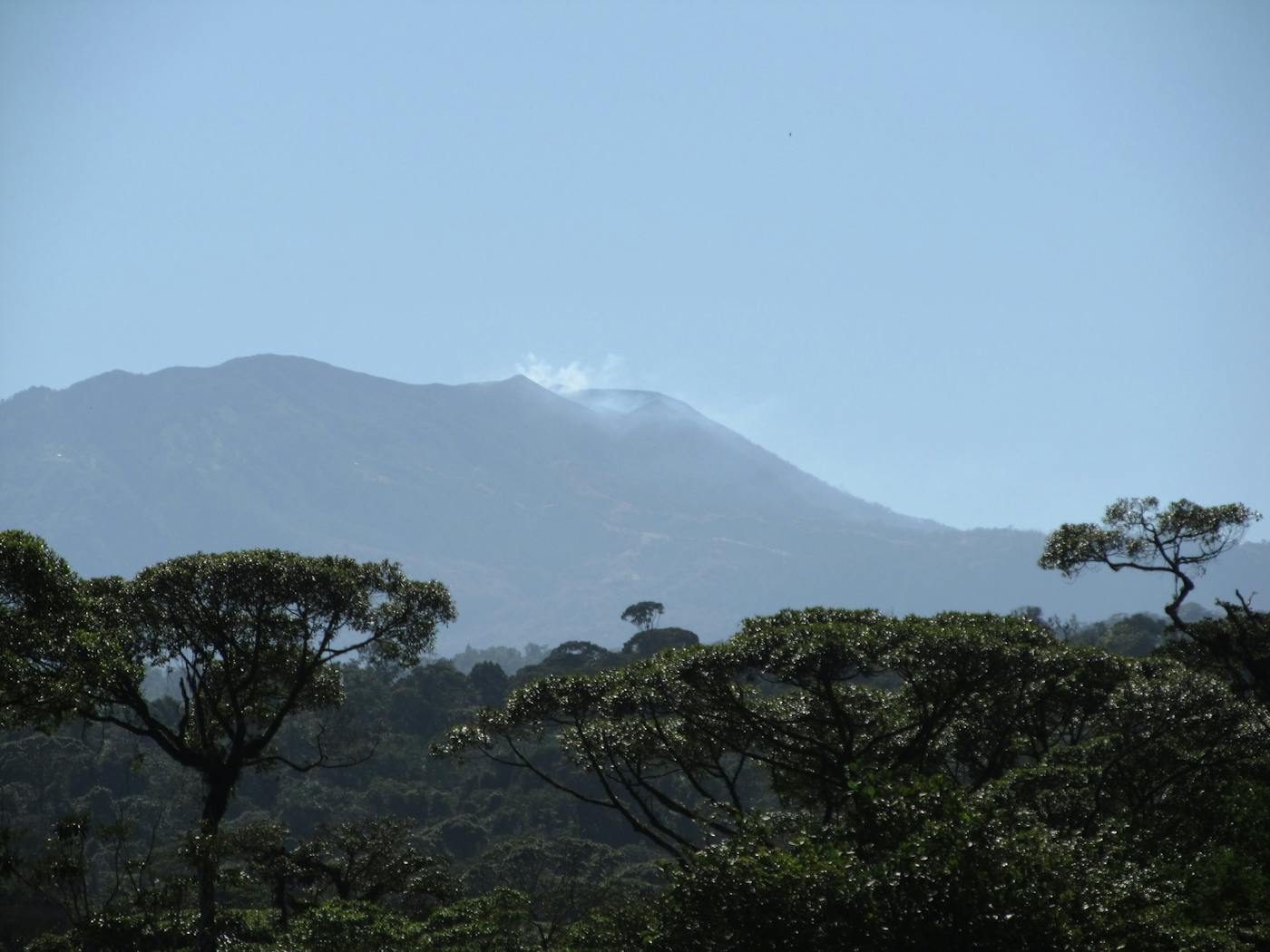 Central American Isthmian & Colombian Coastal Forests (NT24)