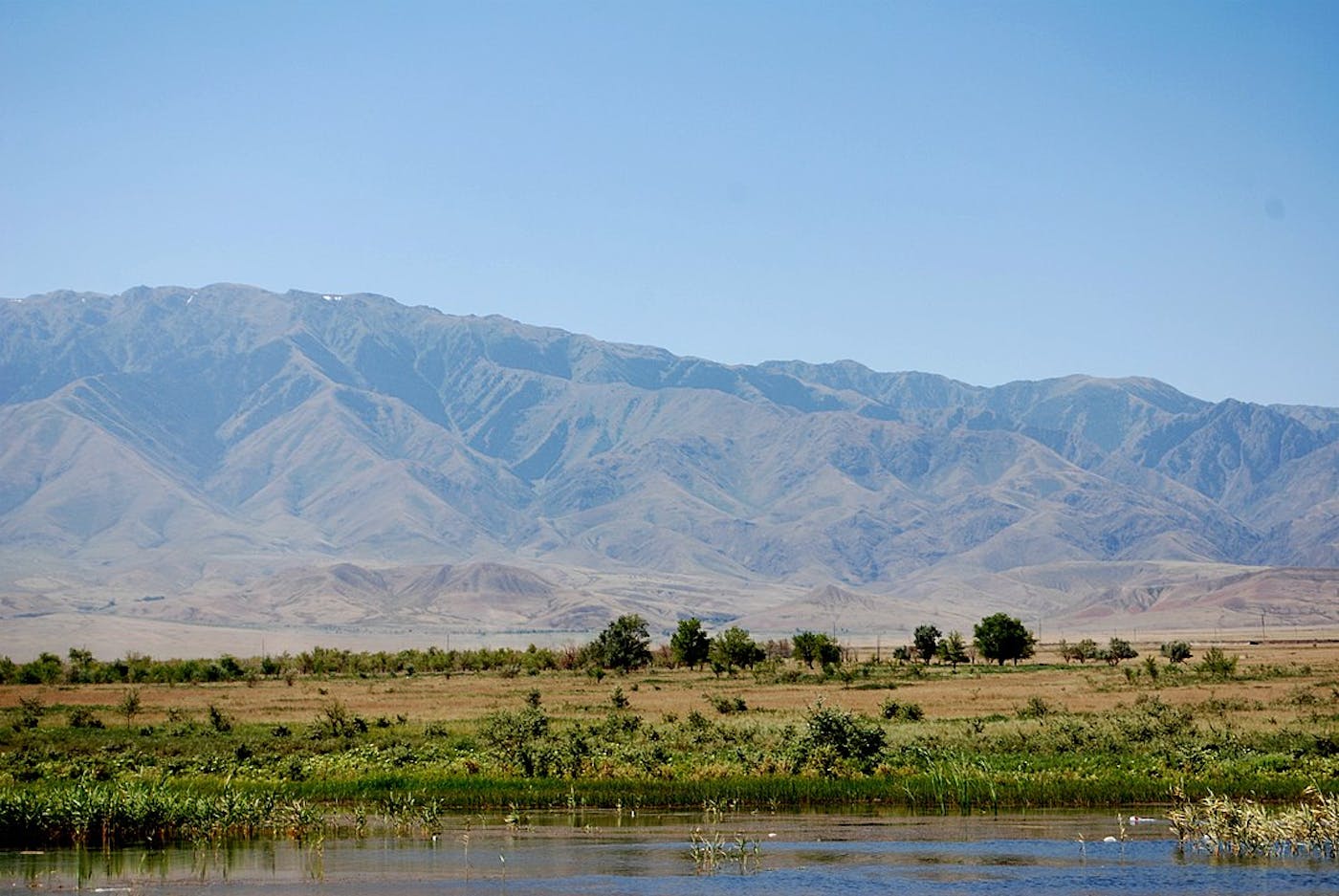 Junggar Semi-Desert & Ermin Valley Steppe (PA38)