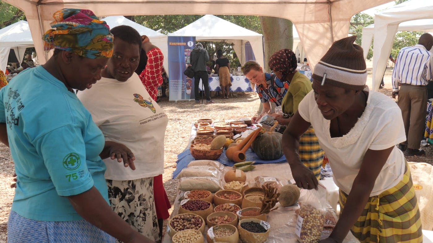 Expanding Diverse and Resilient Food Systems for Landless Farmers in Zimbabwe