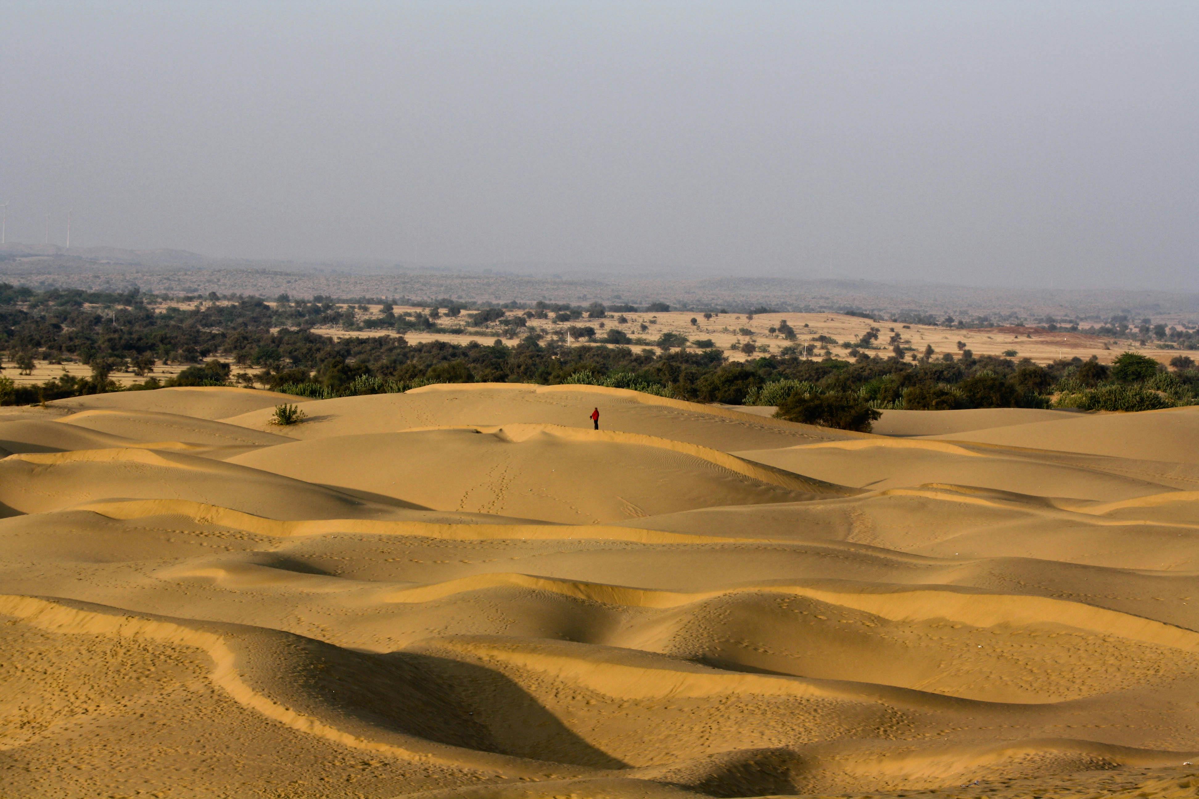 Thar Desert  One Earth