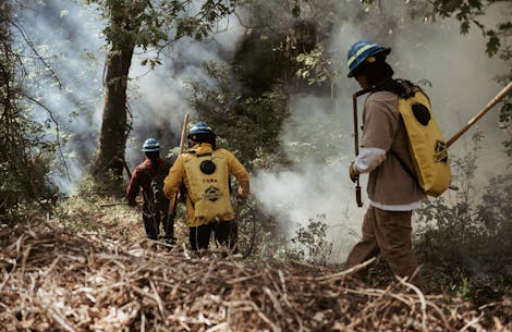 Healing California Ecosystems with Indigenous ‘Good Fire’ Burning Practices