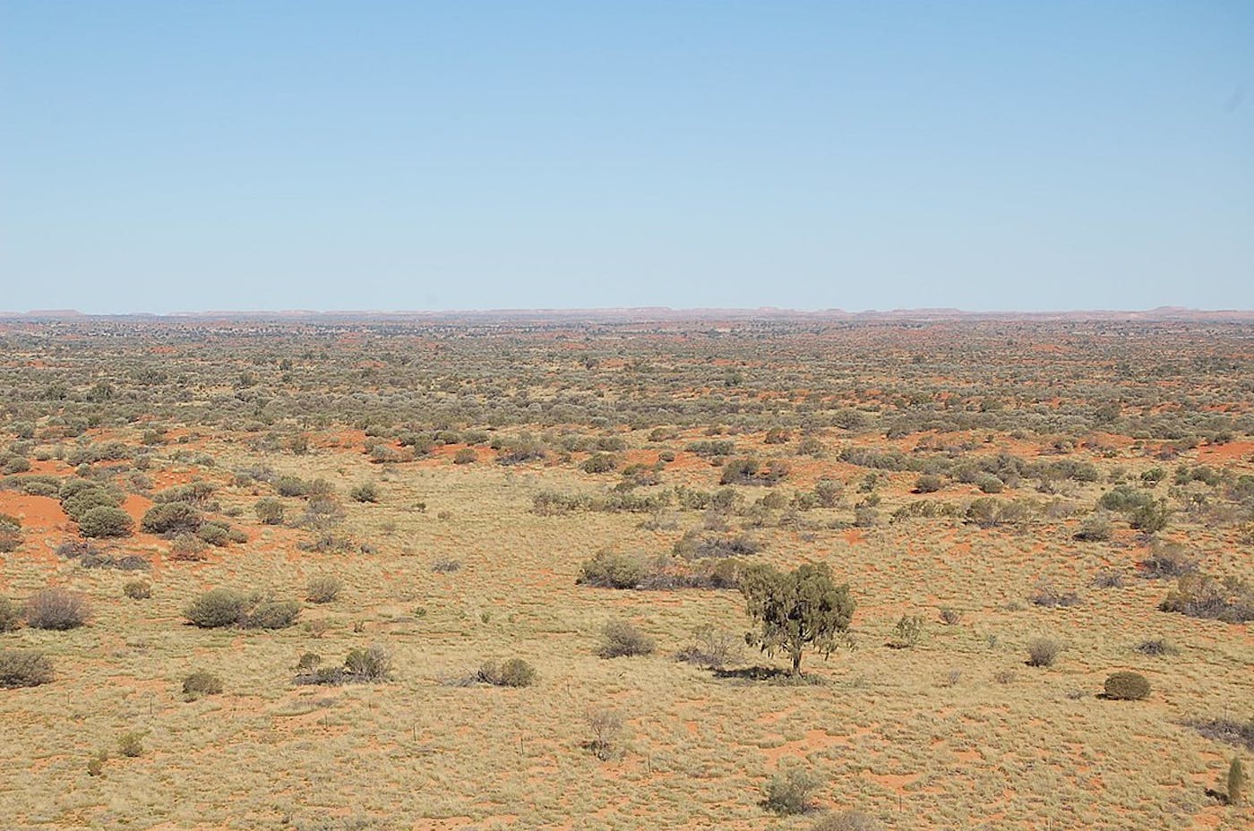 Greater Australian Interior Desert & Shrublands (AU7)