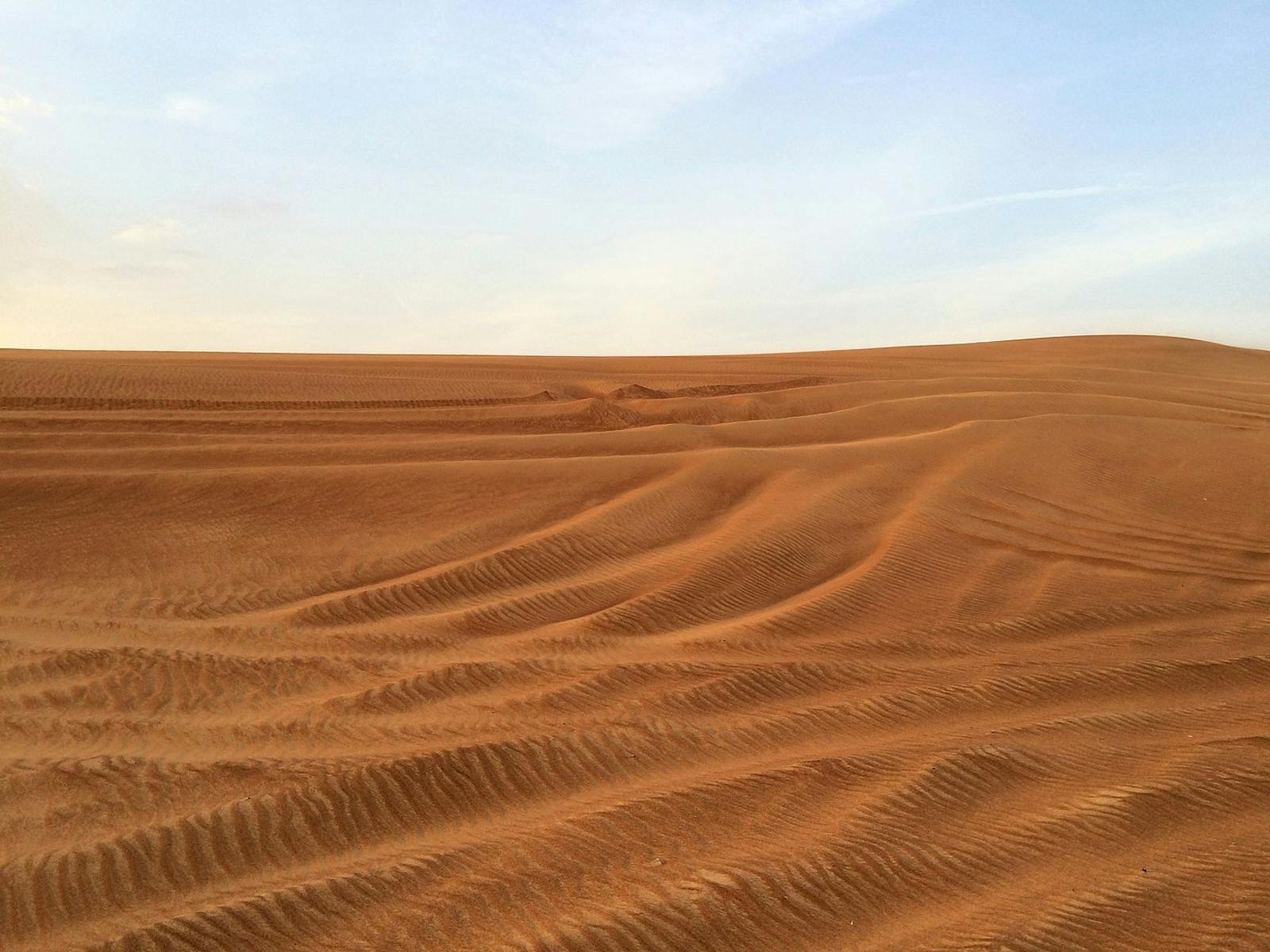 North Arabian Desert