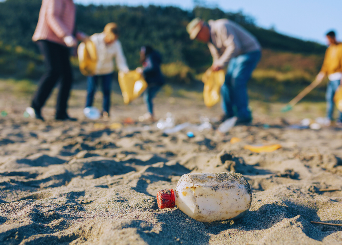 Volunteers cleaning the beach. Image Credit: David Pereiras, Canva Pro.