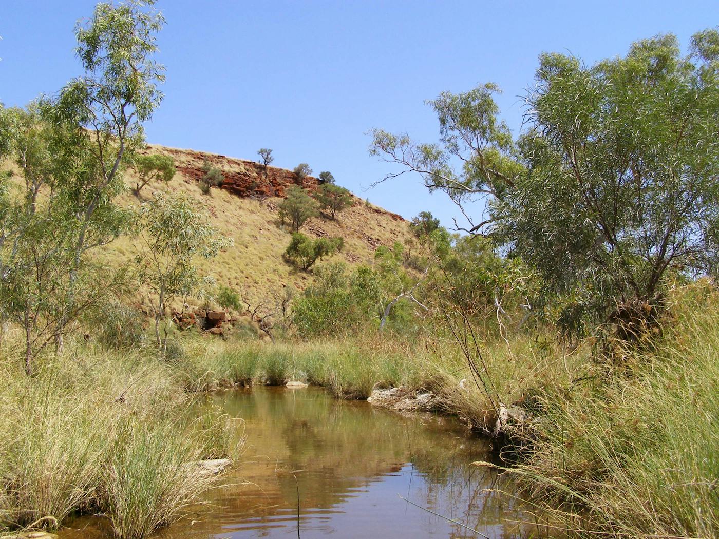 West Australian Dry Coastal Shrublands (AU6)