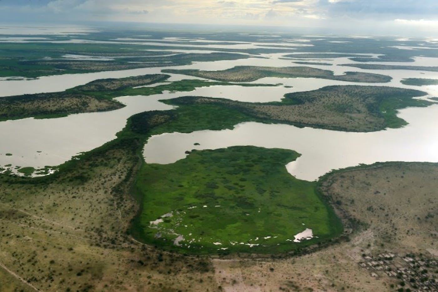 Sahel Acacia Savannas (AT23)