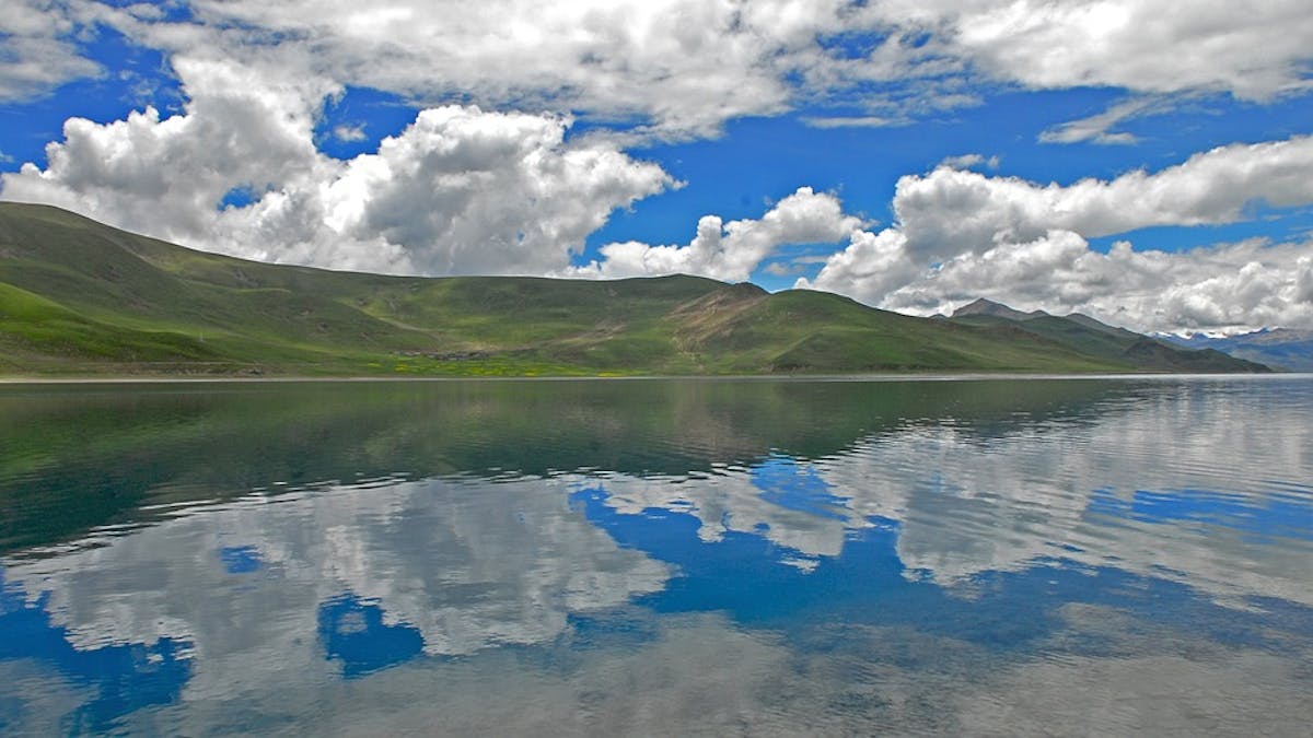Tibetan-Pamir Alpine Steppes, Shrublands & Mountain Forests (PA41)