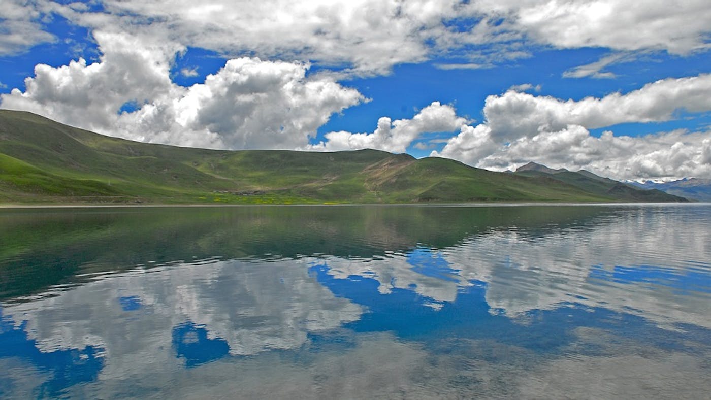 Tibetan-Pamir Alpine Steppes, Shrublands & Mountain Forests (PA41)