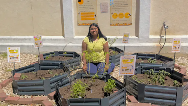 From granite to garden: How a youth-led nonprofit grew a pollinator paradise