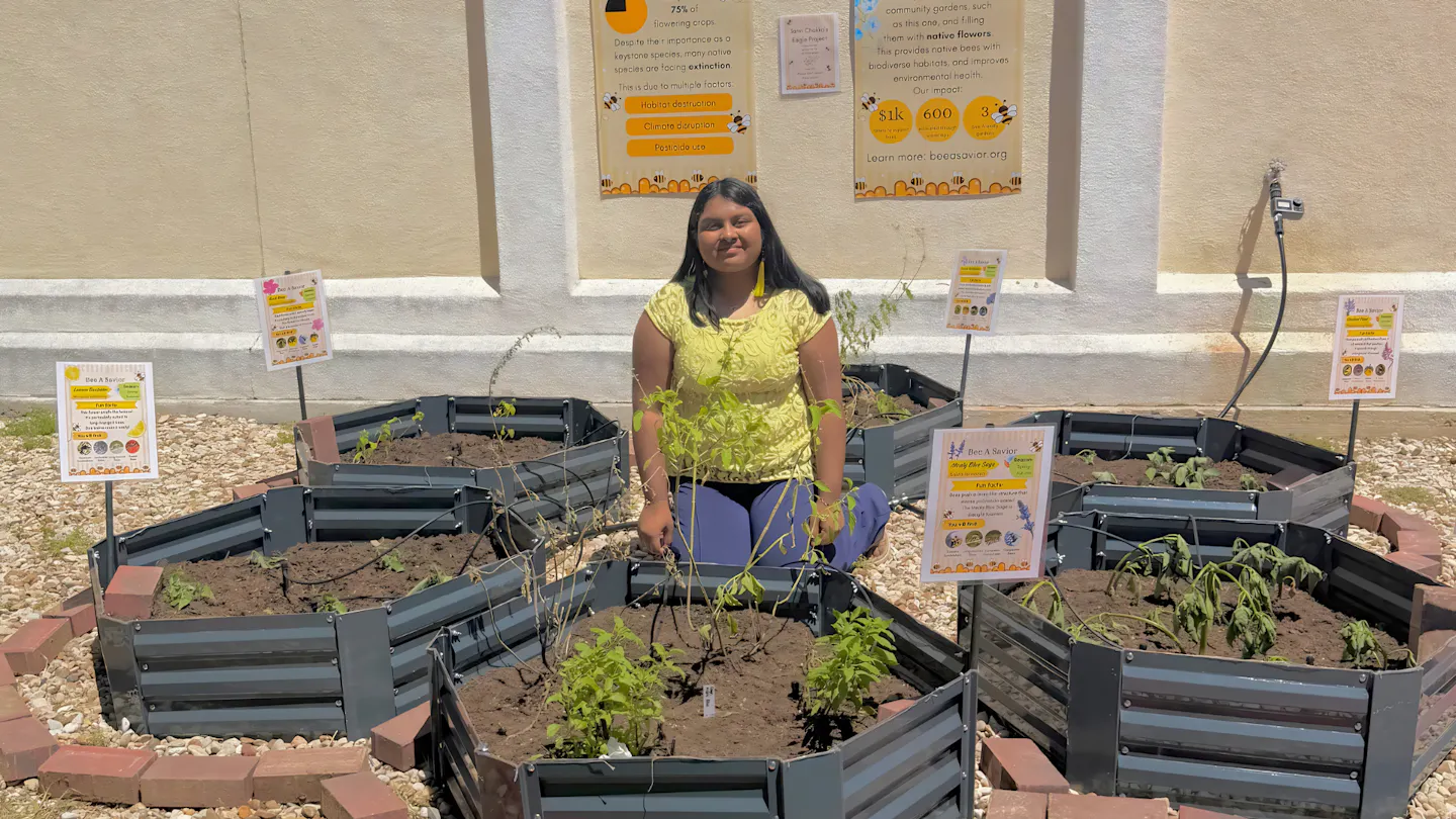 From granite to garden: How a youth-led nonprofit grew a pollinator paradise