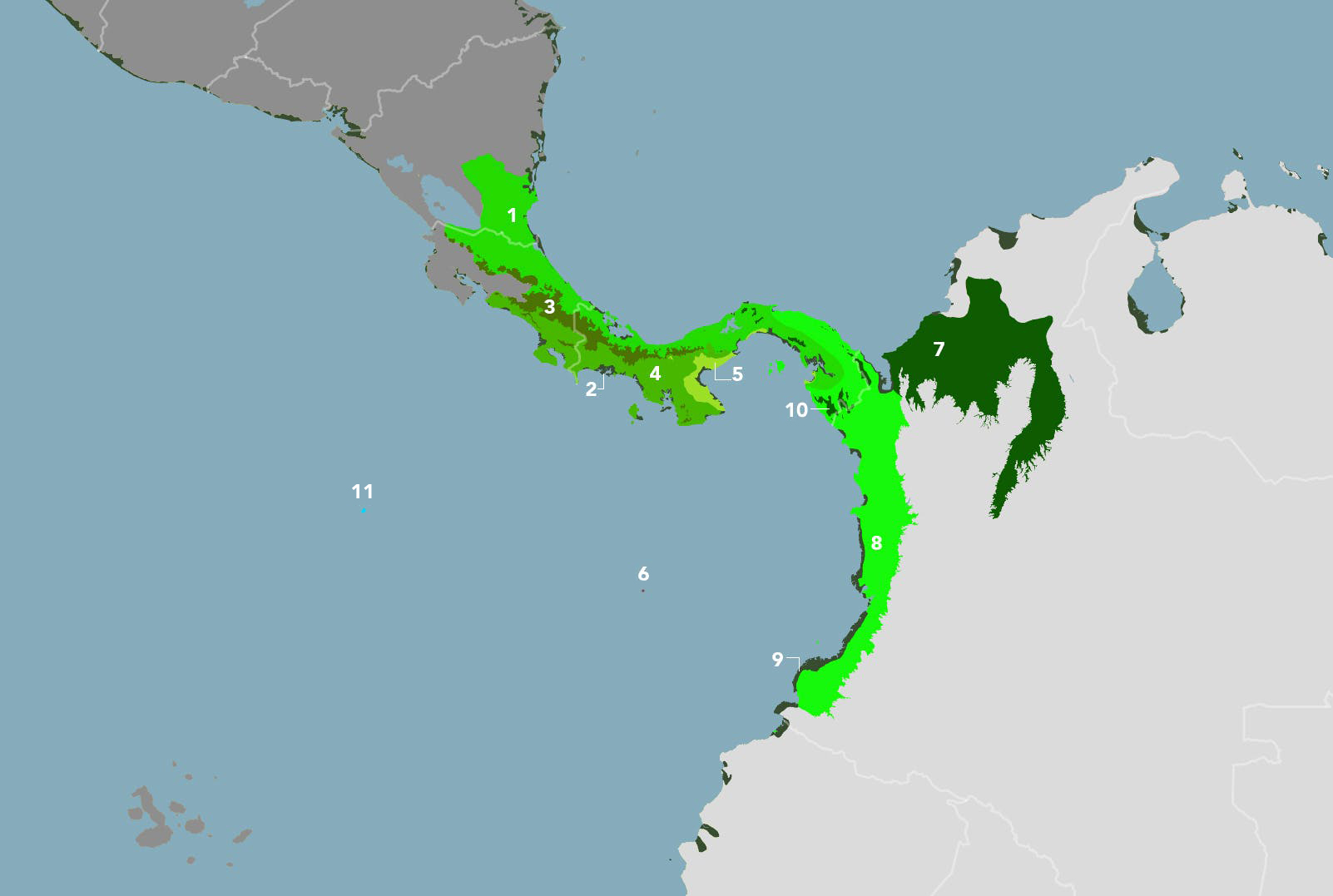 Central American Isthmian & Colombian Coastal Forests (NT24)