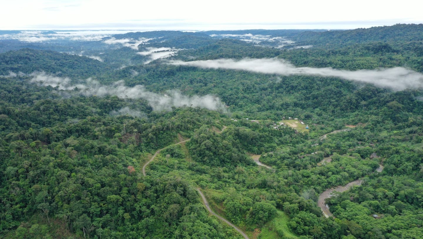 Toward a climate justice approach for the Amazon: Reimagining REDD+ for Indigenous-led solutions