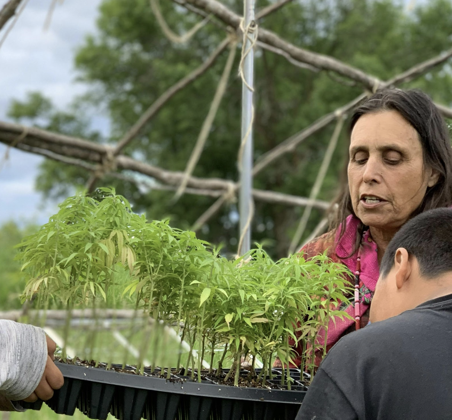 Winona’s Hemp & Heritage Farm is revitalizing traditional farming practices and promoting a regenerative, Indigenous-led economy. Image Credit: Anishinaabe Agriculture Institute.