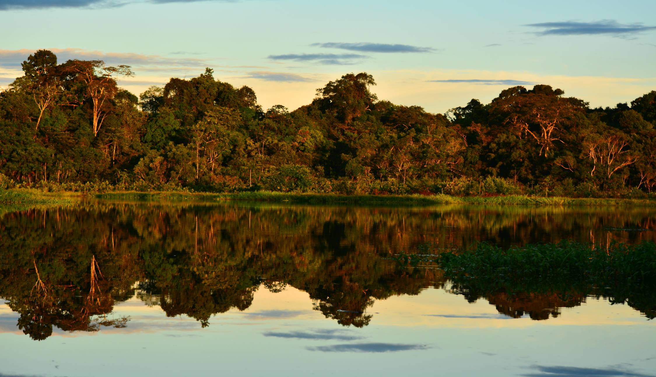 An amazing sunset with reflections of the trees in the water in the Yasuni National Park, Ecuador. Photo ID 124294665 © Jo Reason | Dreamstime.com