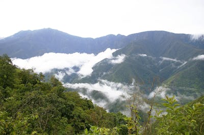 Andean Mountain Forests & Valleys (NT11)