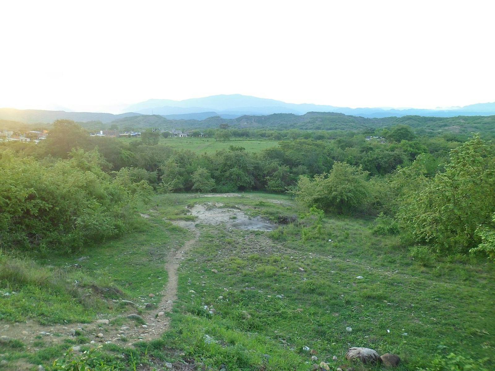Magdalena Valley Dry Forests