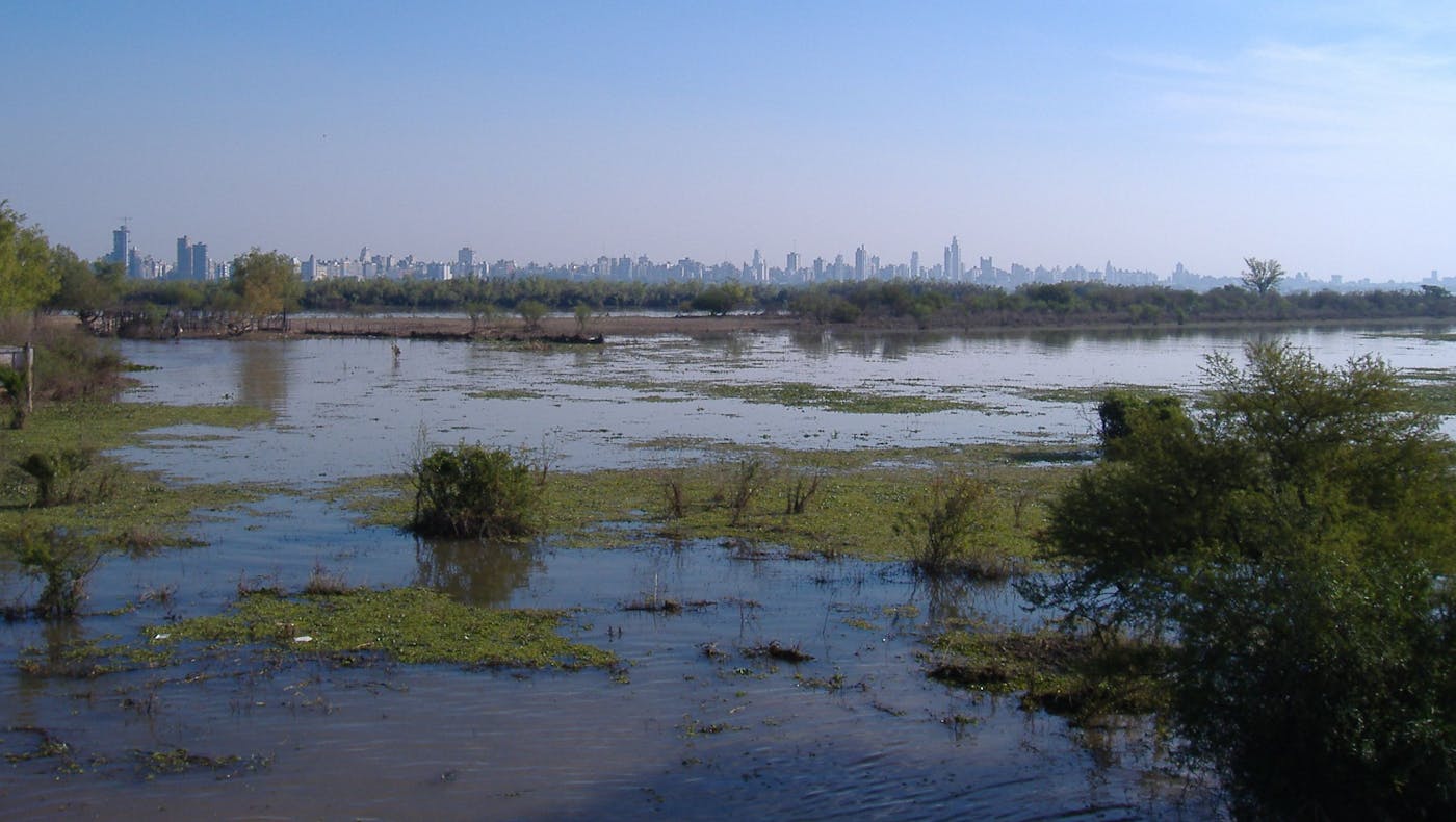 Rio de la Plata Grasslands (NT3)