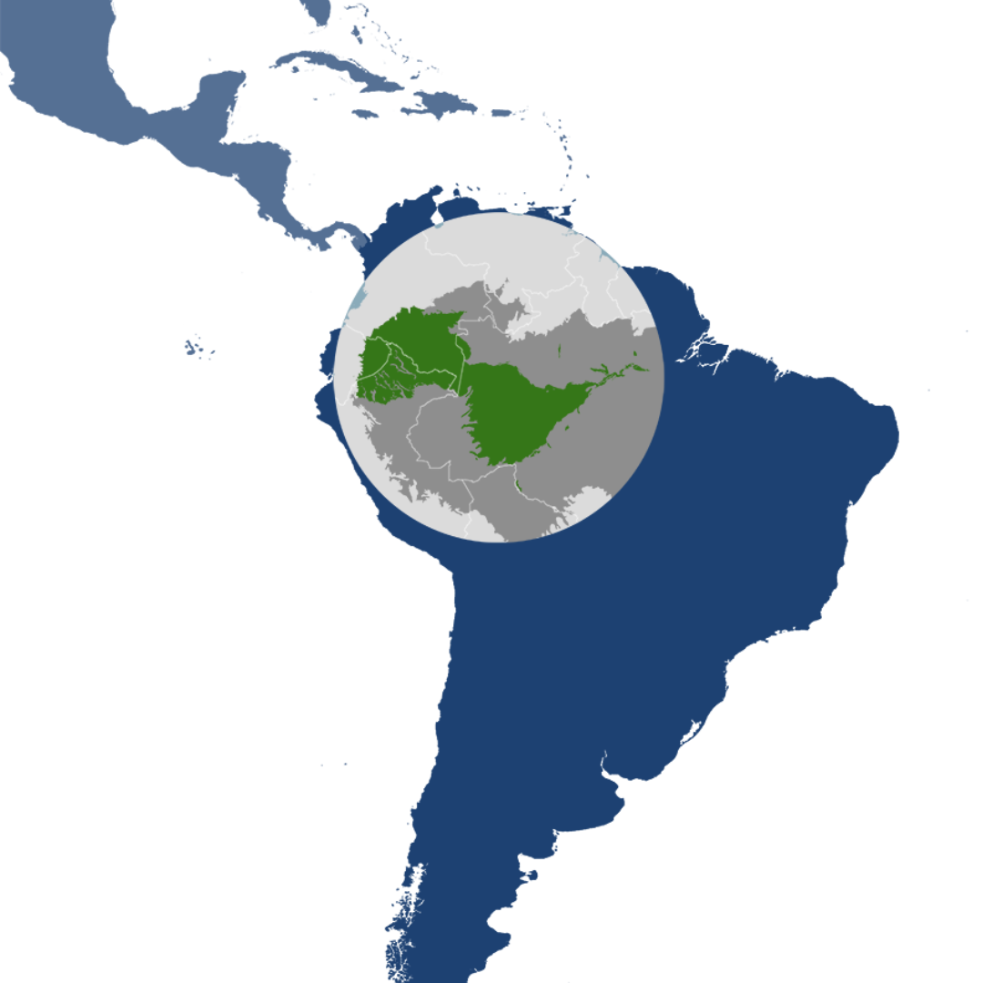 Central Amazonian Forests Bioregion (NT19)