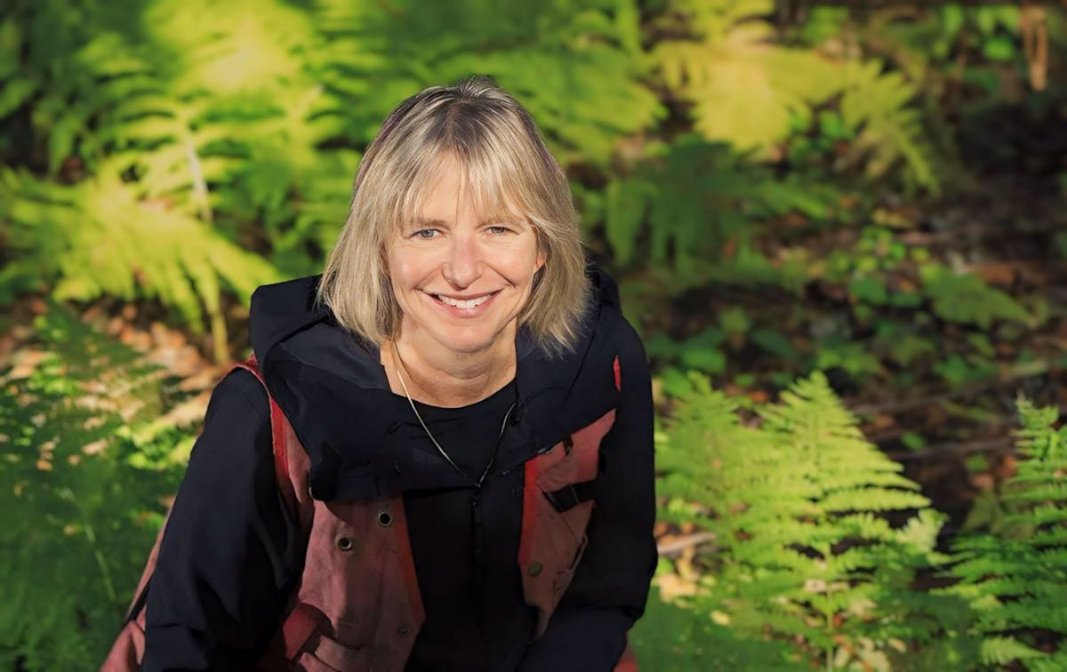 How Suzanne Simard uncovered the secret conversations of forests