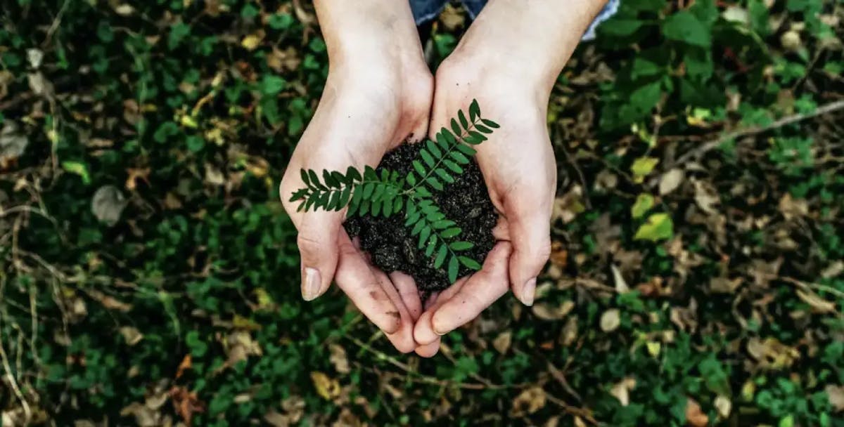 Join the Daughters for Earth Campaign
