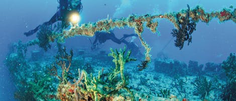 Protecting and Restoring Marine Ecosystems on the Southern Kenyan Coast Through community-led No-Take Zones