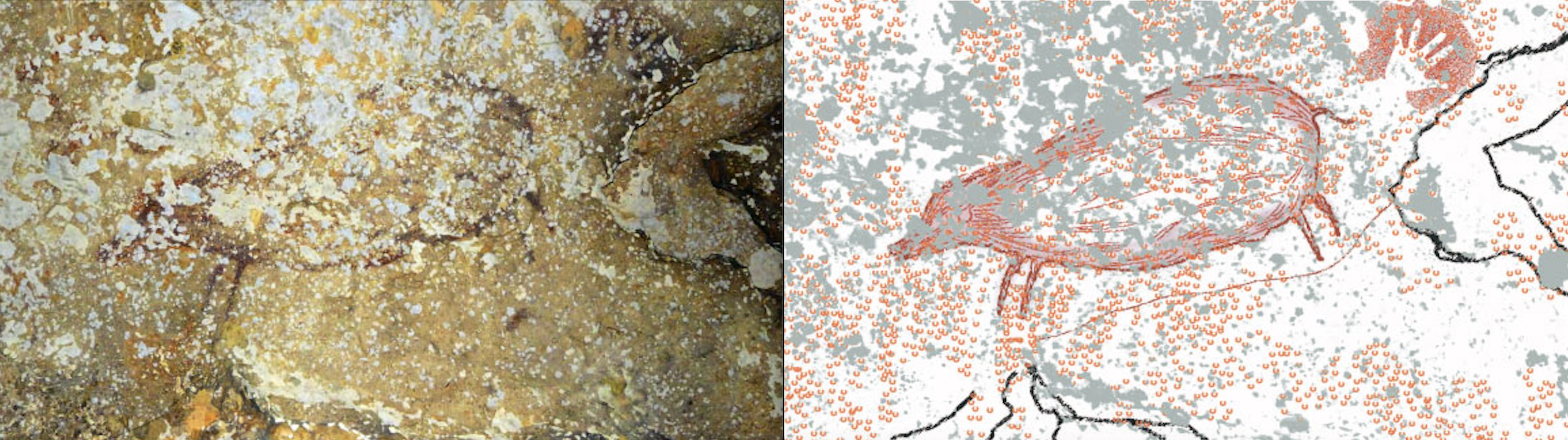A 39,900-year-old hand stencil and a 35,400-year-old painting of a female babirusa inside Leang Timpuseng cave, Sulawesi, Indonesia (left). An illustration showing what the image would have looked like. (right). Image Credit: M. Aubert et al. A 39,900-year-old hand stencil and a 35,400-year-old painting of a female babirusa inside Leang Timpuseng cave, Sulawesi, Indonesia (left). An illustration showing what the image would have looked like. (right). Image Credit: M. Aubert et al.