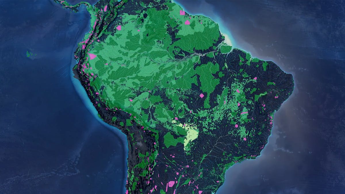 A biodiversity ‘Safety Net’ for Amazonia
