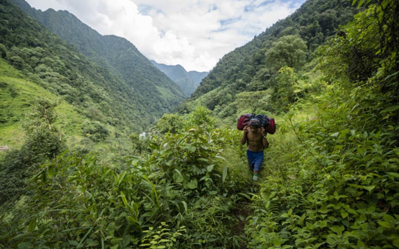 Arakan Mountains & Northern Triangle Forests (IM10)