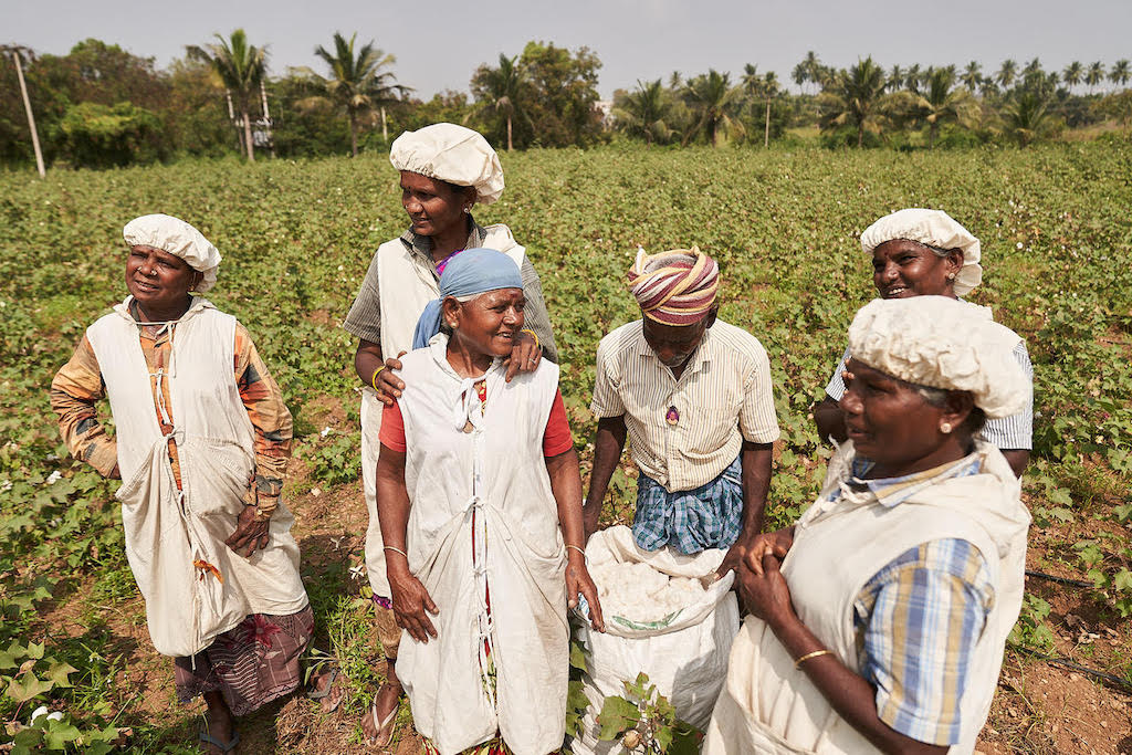 What we do in helping cotton growers to create long-term change.