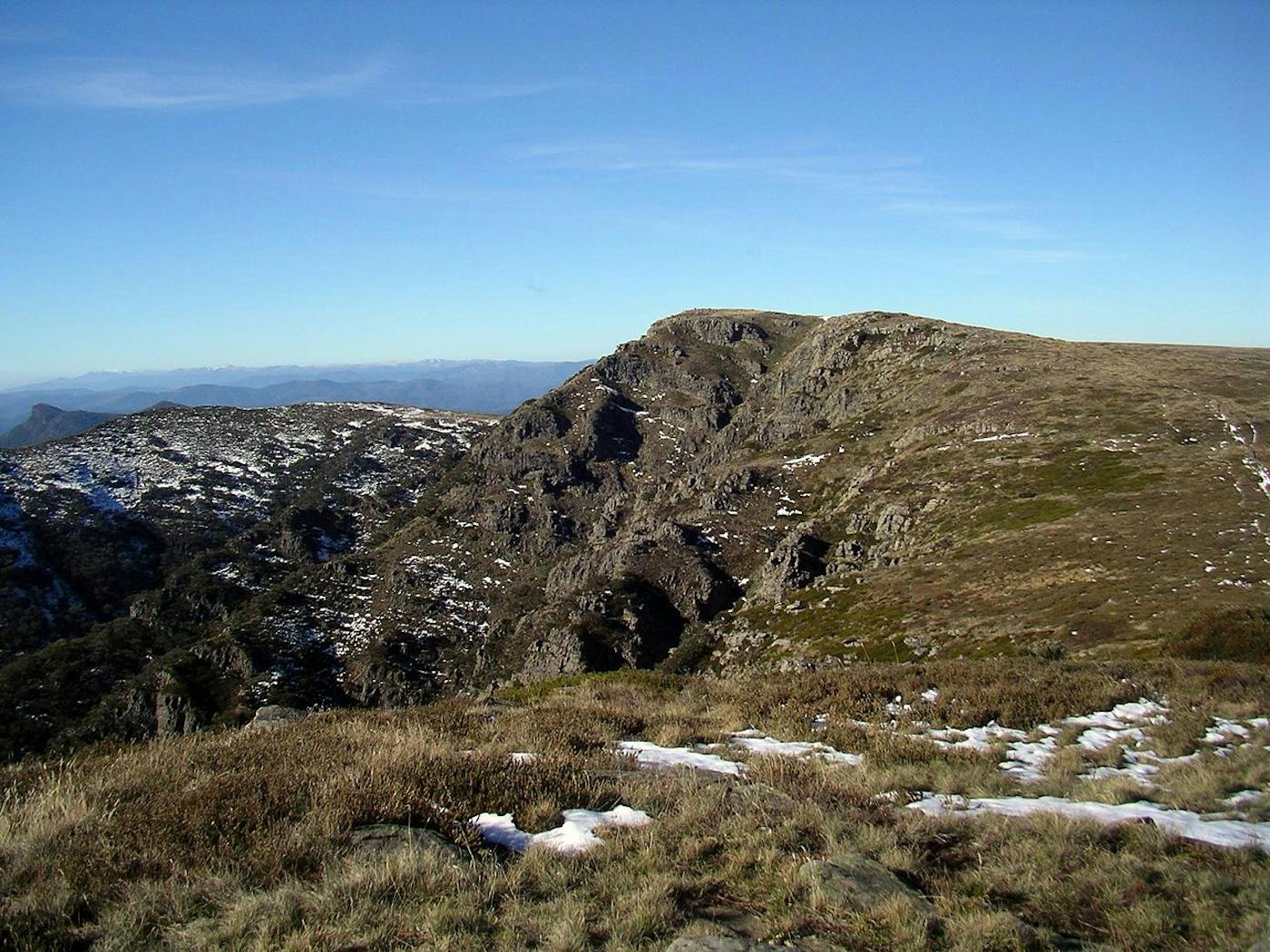 East Australian Temperate Forests & Mountain Shrublands (AU3)